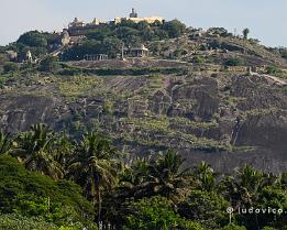 INDIA2023_D7M_0242 Het 18 meter hoge beeld van Bahubali, een van de grote heiligen uit de Jain-godsdienst, staat boven op de 133 meter hoge Vindhyagiriheuvel (meer dan 600 treden)...