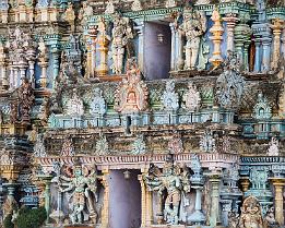INDIA2023_D7M_1856