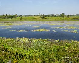 INDIA2023_P1490486