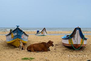 Kovalam