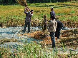 Laos_DSC_3669