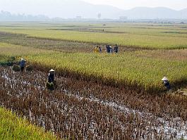 Vietnam_DSC_5386