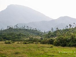 Vietnam_DSC_7265