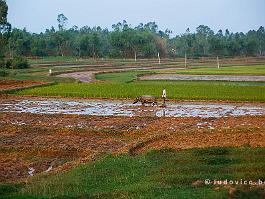 Vietnam_DSC_7362