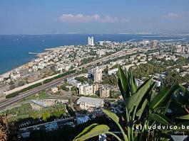 Haifa