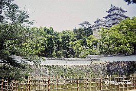 HIMEJI99N005