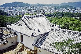 HIMEJI99N017