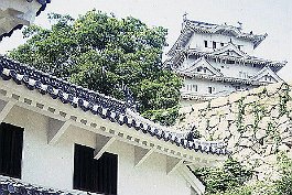 HIMEJI99N020