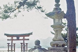 MIYAJIMA99N053