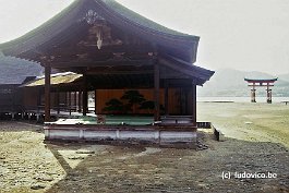 MIYAJIMA99N055