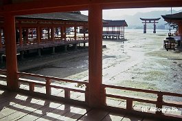 MIYAJIMA99N057