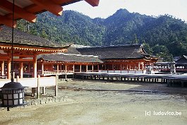 MIYAJIMA99N058