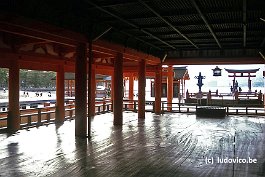 MIYAJIMA99N061