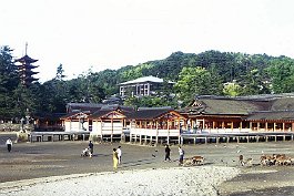 MIYAJIMA99N063