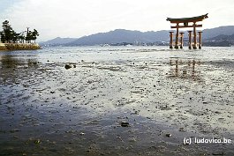 MIYAJIMA99N064