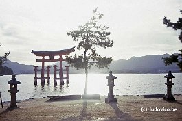 MIYAJIMA99N066