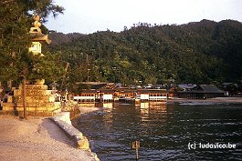 MIYAJIMA99N067