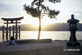 MIYAJIMA99N068