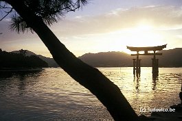 MIYAJIMA99N069