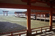 Miyajima