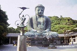 KAMAKURA99N041