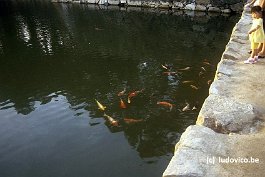 HIROSHIMA99N019