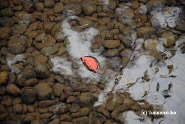 KANAZAWA_DSC6728