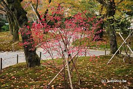 KANAZAWA_DSC6798