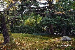 KANAZAWA_DSC6808