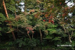 KANAZAWA_DSC6911