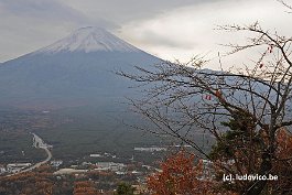 FUJI_DSC10933