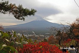 FUJI_DSC10934