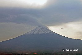 FUJI_DSC10956