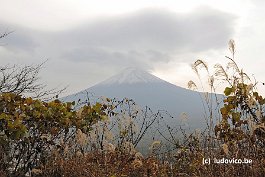 FUJI_DSC10962