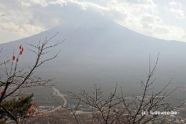 FUJI_DSC11044