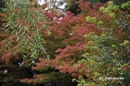 KURASHIKI_DSC1880