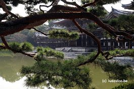 BYODOIN_DSC5516