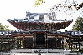 BYODOIN_DSC5521