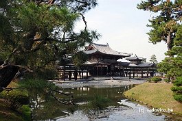 BYODOIN_DSC5555