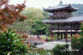 BYODOIN_DSC5610