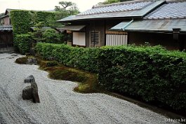 KYOTO_DSC5833