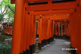 FUSHIMI_DSC4350