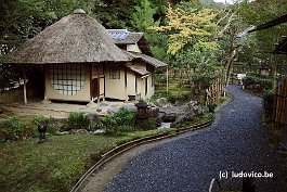 KYOTO_DSC4869