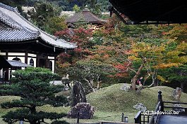 KYOTO_DSC4877