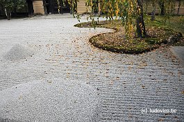 KYOTO_DSC4881