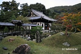 KYOTO_DSC4897