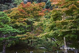 KYOTO_DSC4907