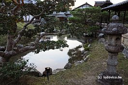 KYOTO_DSC4919