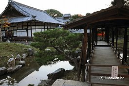 KYOTO_DSC4921