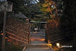 KYOTO_DSC4950